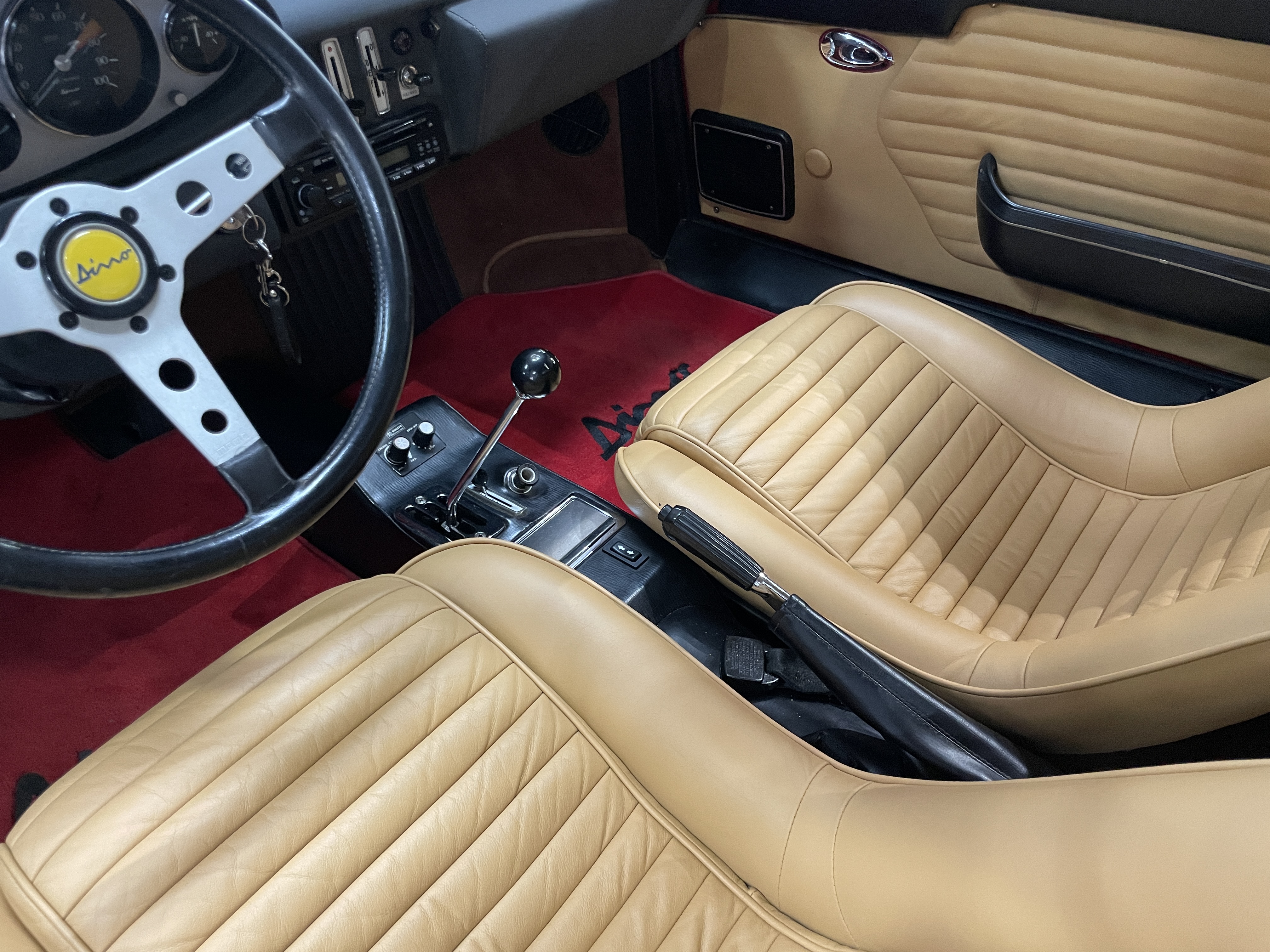 13_AMW_240724_dino-246-gts_.jpeg